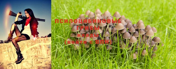 мдма Зеленодольск
