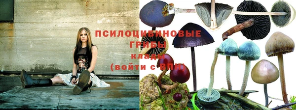 гидра Заволжье
