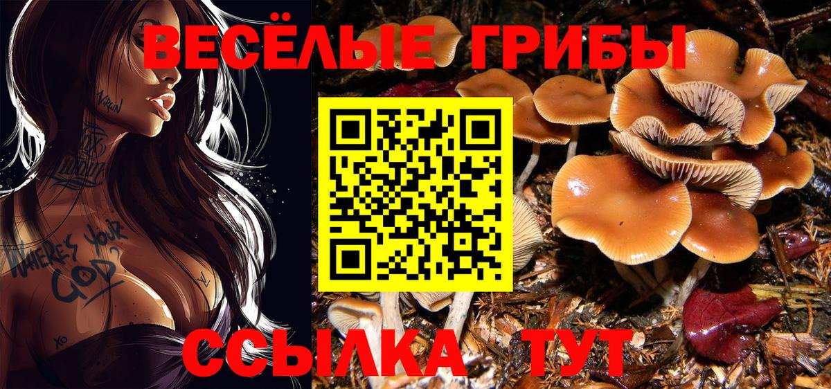 Псилоцибиновые грибы GOLDEN TEACHER  Галлюциногенные грибы мицелий  Вход с VPN  наркота  Славянск-на-Кубани 